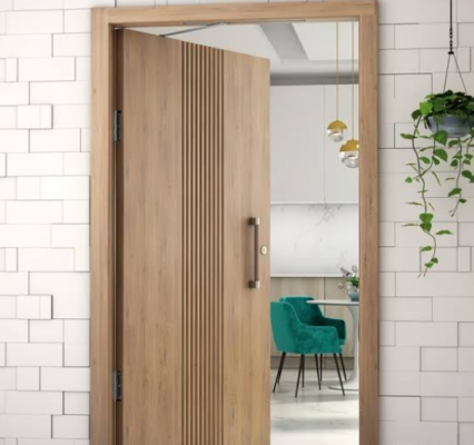 Tay co giữ cửa Hafele